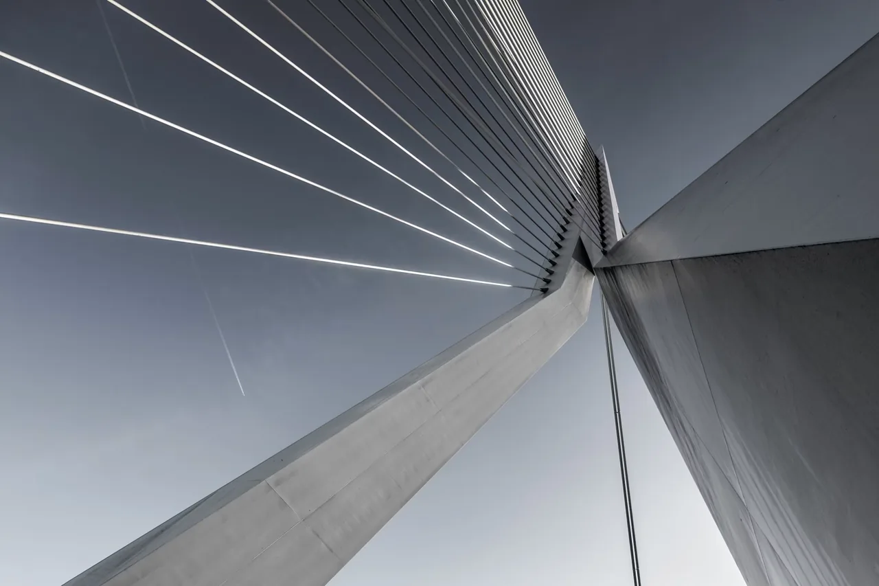 Architectural lines and structural cables against the sky
